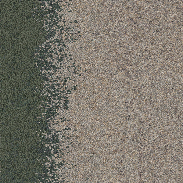 11912 Whitewash Oak